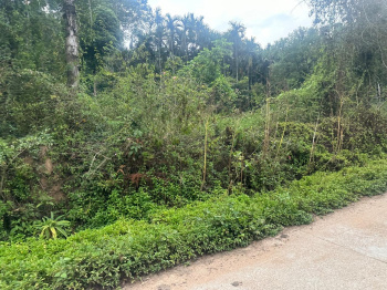  Residential Plot for Sale in Mudigere, Chikmagalur
