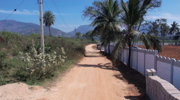  Residential Plot for Sale in Doddaballapur, Bangalore