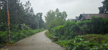  Residential Plot for Sale in Belur Hassan