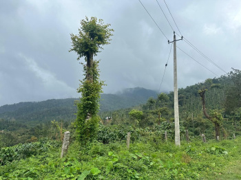  Residential Plot for Sale in Balehonnur, Chikmagalur