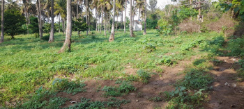  Residential Plot for Sale in Yadiyur, Tumkur