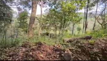  Residential Plot for Sale in Sakleshpur, Hassan