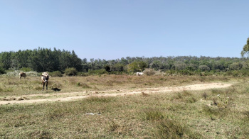  Residential Plot for Sale in Belur Hassan