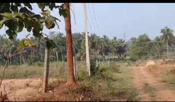  Agricultural Land for Sale in Kumaraswamy Layout, Bangalore