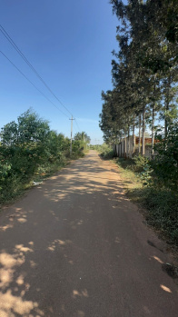  Agricultural Land for Sale in Devanahalli, Bangalore