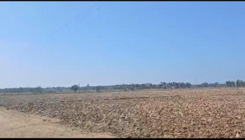  Agricultural Land for Sale in Malavalli, Mandya