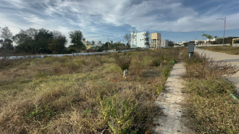  Agricultural Land for Sale in Dasanapura, Bangalore