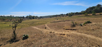  Agricultural Land for Sale in Alur, Hassan