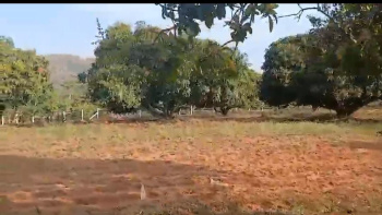  Agricultural Land for Sale in Bidadi, Bangalore