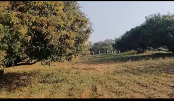  Agricultural Land for Sale in Bidadi, Bangalore