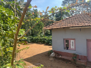  Agricultural Land for Sale in Mudigere, Chikmagalur