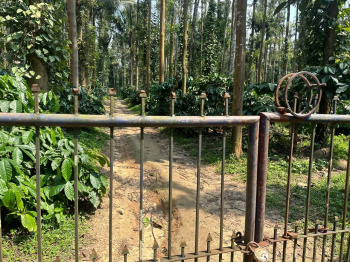  Agricultural Land for Sale in Belur Hassan