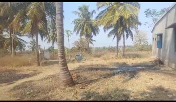  Agricultural Land for Sale in Belagola, Mysore