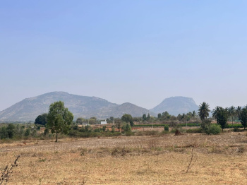  Agricultural Land for Sale in Doddaballapur, Bangalore