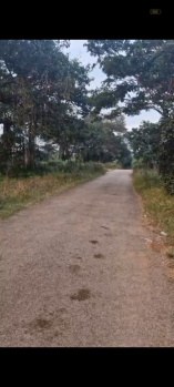  Agricultural Land for Sale in Doddaballapur, Bangalore