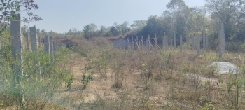  Agricultural Land for Sale in Belur Hassan