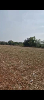  Agricultural Land for Sale in Doddaballapur, Bangalore