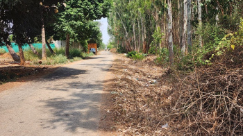  Agricultural Land for Sale in Nandi Hills, Bangalore