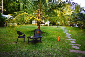  Agricultural Land for Sale in Shivamogga, Shimoga