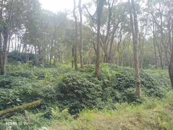  Agricultural Land for Sale in TC Palya Road, Bangalore