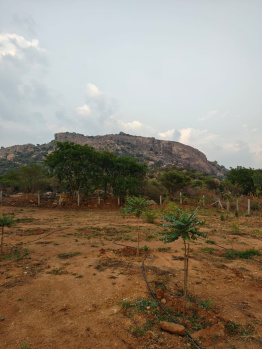  Agricultural Land for Sale in Doddaballapur, Bangalore