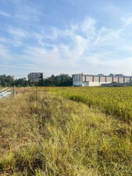  Agricultural Land for Sale in Nelamangala, Bangalore