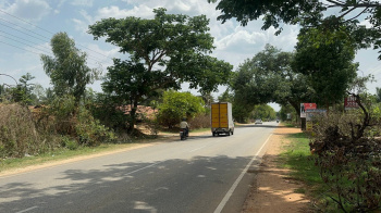  Agricultural Land for Sale in Doddaballapur, Bangalore