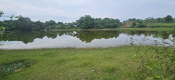  Agricultural Land for Sale in Sakleshpur, Hassan