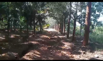  Agricultural Land for Sale in Yelandur, Chamrajnagar
