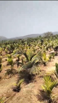  Agricultural Land for Sale in Ramanagara, Bangalore
