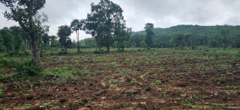  Agricultural Land for Sale in Belur Hassan