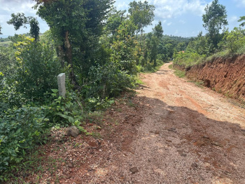  Agricultural Land for Sale in Mudigere, Chikmagalur