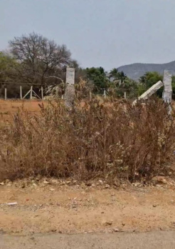  Agricultural Land for Sale in Doddaballapur, Bangalore