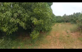  Agricultural Land for Sale in Ramanagara, Bangalore