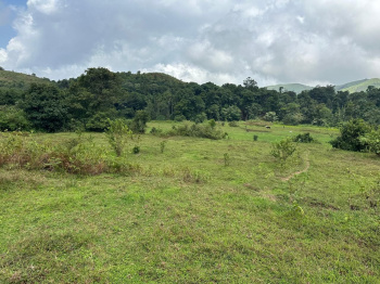  Agricultural Land for Sale in Mudigere, Chikmagalur