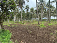  Agricultural Land for Sale in Alur, Hassan