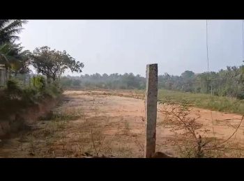  Agricultural Land for Sale in Harlur, Bangalore