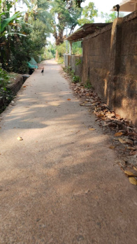 Agricultural Land for Sale in Brahmavar, Udupi