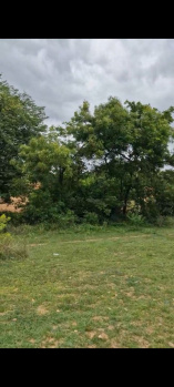  Agricultural Land for Sale in Doddaballapur, Bangalore