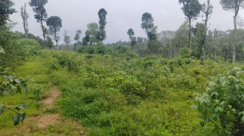  Agricultural Land for Sale in Belur Hassan