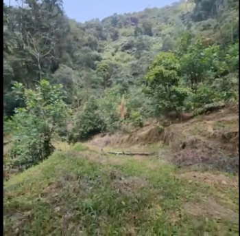  Agricultural Land for Sale in Madikeri, Kodagu