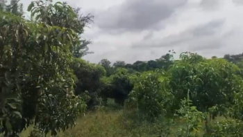  Agricultural Land for Sale in Ramanagara, Bangalore