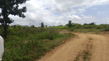  Agricultural Land for Sale in Malavalli, Mandya