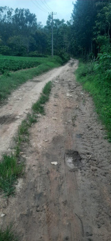  Agricultural Land for Sale in Mallandur Road, Chikmagalur