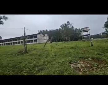  Agricultural Land for Sale in Palya, Hassan