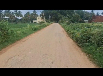  Agricultural Land for Sale in Doddaballapur, Bangalore