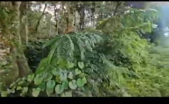  Agricultural Land for Sale in Alur, Hassan