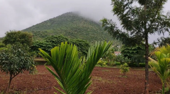  Agricultural Land for Sale in Kollegal, Chamrajnagar