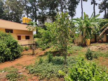  Commercial Land for Sale in Nelamangala, Bangalore