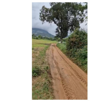  Agricultural Land for Sale in Nandi Hills, Bangalore